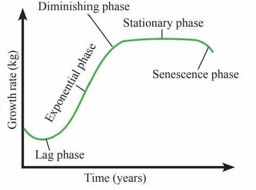 S-shaped growth curve of annual plants showing lag, exponential, diminishing, stationary and senescence phases
