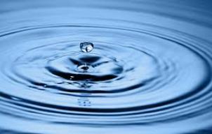 Water ripples forming circular waves