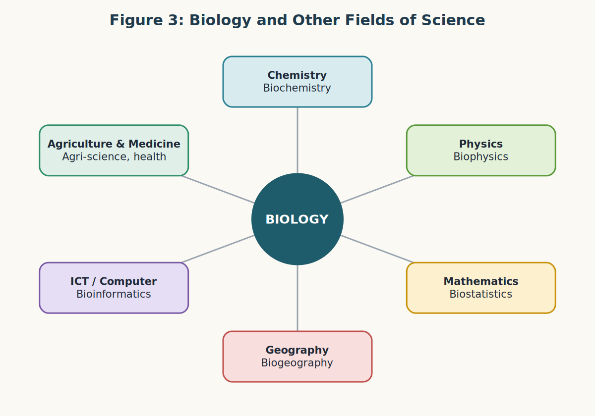 Biology at the centre linked to chemistry, physics, mathematics, geography, ICT and agriculture and medicine