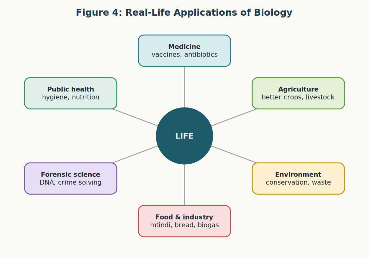 Applications of biology in medicine, agriculture, environment, food and industry, forensic science and public health