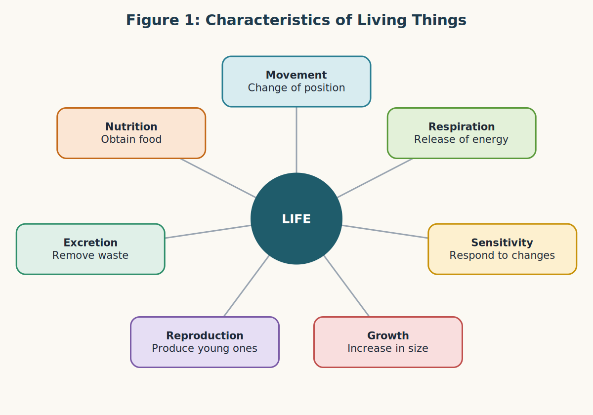 Seven characteristics of living things around the word life