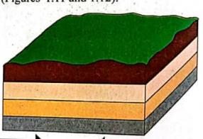 Compressional forces