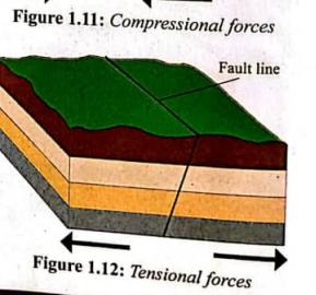 Tensional forces