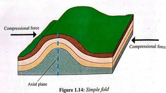Simple fold