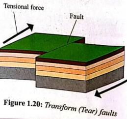Reverse fault